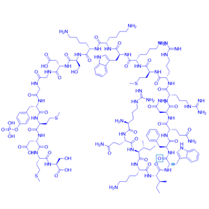 PI3K激活剂多肽/1236188-16-1/740Y-P/多肽合成