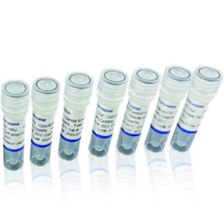 人APOA4蛋白,Recombinant human APOA4 protein