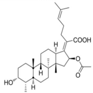 夫西地酸鈉EP雜質(zhì)M,Sodium Fusidate EP Impurity M