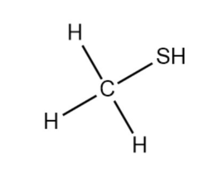 甲硫醇,METHYL MERCAPTAN
