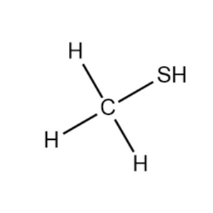 甲硫醇,METHYL MERCAPTAN