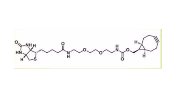 endo-BCN二聚乙二醇-生物素,endo-BCN-PEG2-Biotin