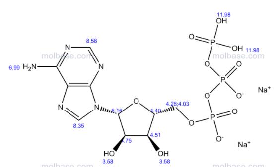 三磷酸腺苷二钠,Adenosine 5’-triphosphate