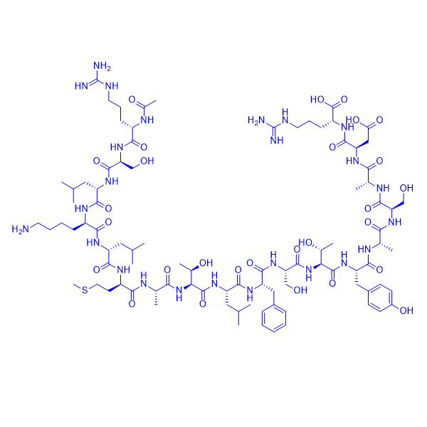 α-肌球蛋白重链肽片段肽,Myosin H Chain Fragment,mouse