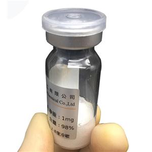 重組人 GADD45G/CR6 蛋白,Recombinant human GADD45G/CR6 protein