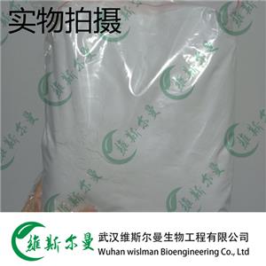 地塞米松 50-02-2 98%含量 维斯尔曼生物现货 13419635609