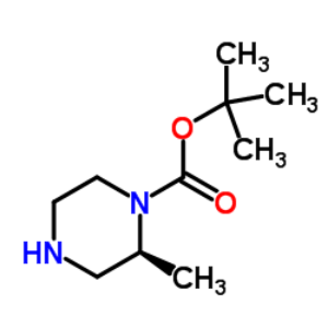 (S)-1-N-Boc-2-甲基哌嗪 169447-70-5