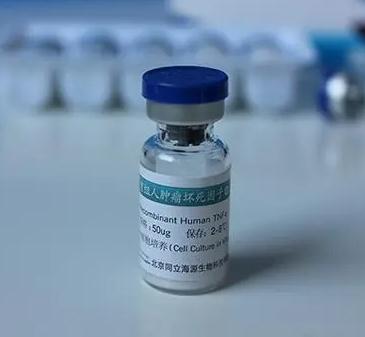 重組人 Growth hormone receptor/GHBP 蛋白,Recombinant human Growth hormone receptor/GHBP protein