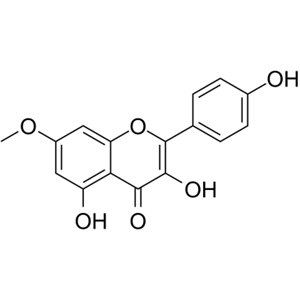 鼠李柠檬素,Rhamnocitrin