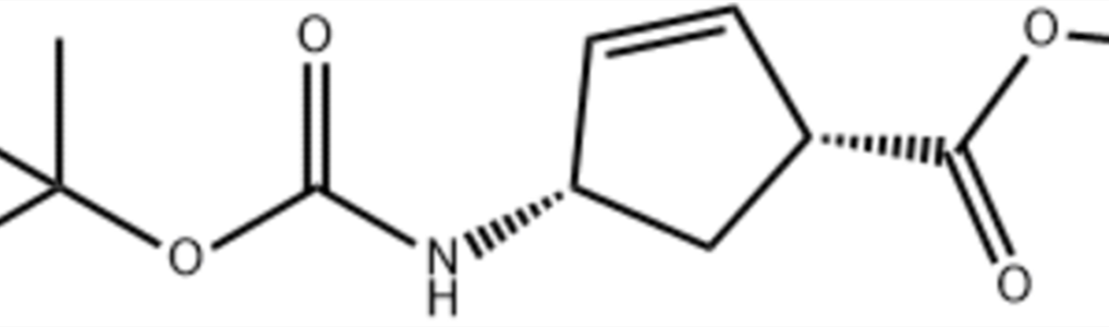 (1R,4S)-4-(叔丁氧基羰基氨基)环戊-2-烯-1-羧酸甲酯,Methyl (1R,4S)-4-(tert-Butoxycarbonylamino)cyclopent-2-ene-1-carboxylate