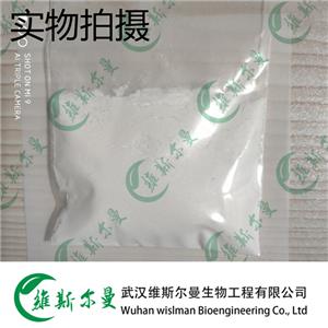 马来酸罗格列酮 155141-29-0 维斯尔曼生物高纯试剂 13419635609