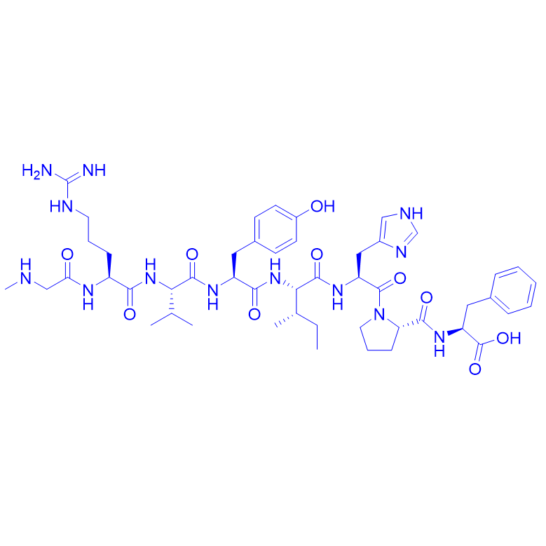 血管緊張素II改造片段多肽[Sar1] Angiotensin II,Sar1] Angiotensin II