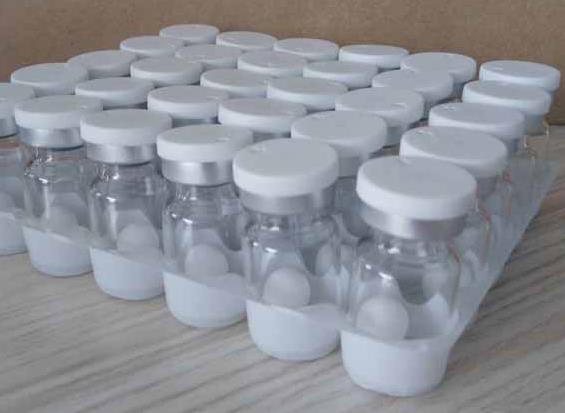 重组人 USH1C/Harmonin蛋白,Recombinant human USH1C/Harmonin protein