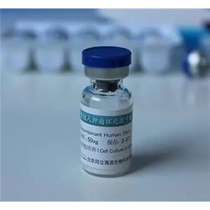 重组丙型肝炎病毒E2 生产供应商艾普蒂生物