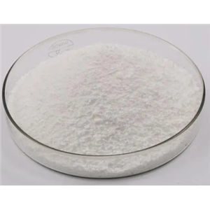 柠檬酸二钠盐,Disodium citrate