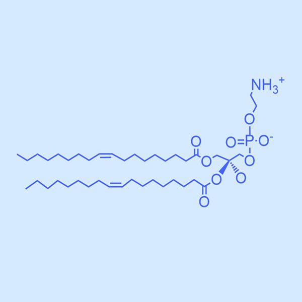 1,2-二油酰-SN-甘油-3-磷酰乙醇胺,DOPE