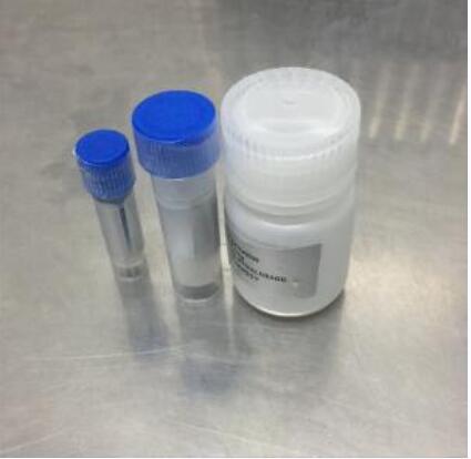 ?9-(4-氯苯基硫代磷酰氧亚甲基)-10-甲基二氢吖啶二钠盐,9-(4-Chlorophenylthiophosphoryloxymethylidene)-10-methylacridan,disodium salt