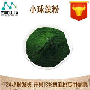 小球藻粉,SPIRULINA POWDER