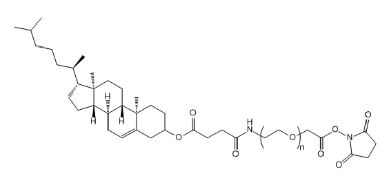 CLS-PEG-SCM