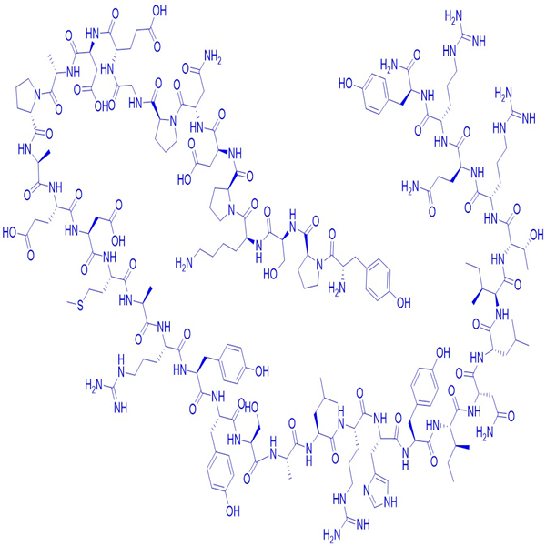 神經(jīng)肽Y,Neuropeptide Y, human, rat