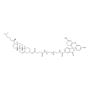 CLS-PEG-FITC 胆固醇-聚乙二醇-荧光素