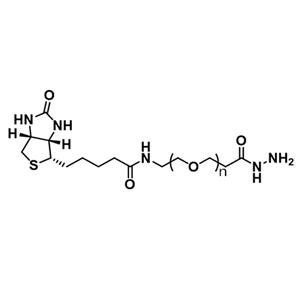 Biotin-PEG-hydrazide，生物素-聚乙二醇-酰肼，Biotin-PEG-HZ