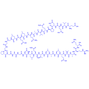 鼠源C肽-2/41594-08-5/C-Peptide 2 (rat)