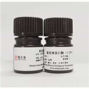 重组胰蛋白酶,Recombinant Trypsin