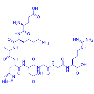 交聯(lián)肽,C-telopeptide