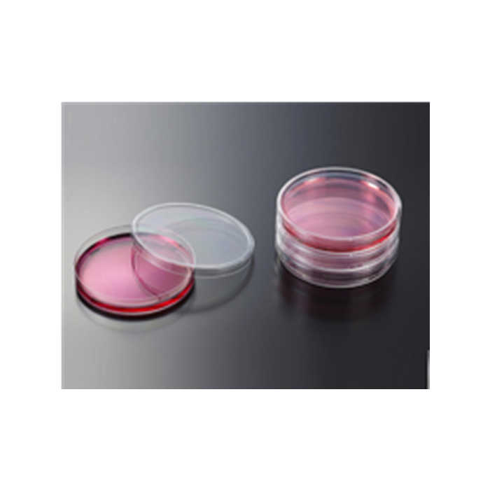 一次性细菌培养皿 9.0cm，56.70cm2，袋装, SAL 10-3|9.0cm|JET/洁特,一次性细菌培养皿 9.0cm，56.70cm2，袋装, SAL 10-3|9.0cm|JET/洁特