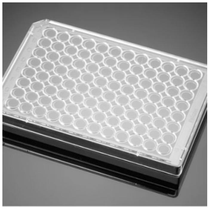 胺包被的96孔板Amine 96 Well Black/Clear Flat Bottom Plate|96孔|Biocoat,胺包被的96孔板Amine 96 Well Black/Clear Flat Bottom Plate|96孔|Biocoat