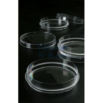 一次性细胞培养皿 10.0cm 灭菌 标准型 爆款|10.0cm|JET/洁特,一次性细胞培养皿 10.0cm 灭菌 标准型 爆款|10.0cm|JET/洁特