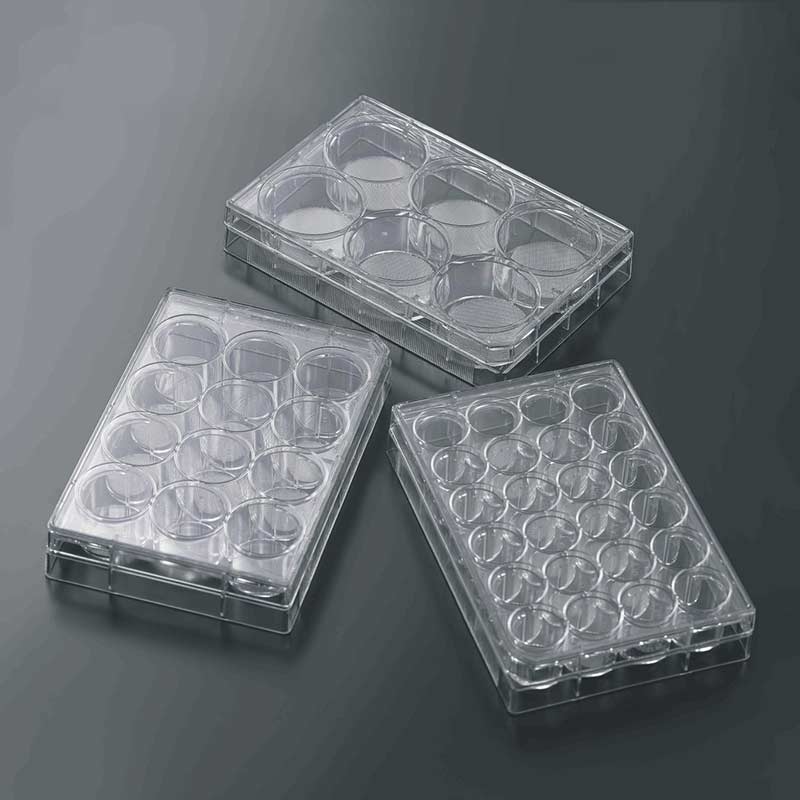 3D细胞培养板 12孔|12孔|JET/洁特,3D细胞培养板 12孔|12孔|JET/洁特
