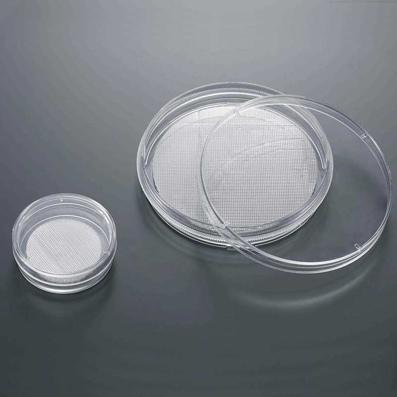 3D细胞培养皿 70mm|70mm|JET/洁特,3D细胞培养皿 70mm|70mm|JET/洁特