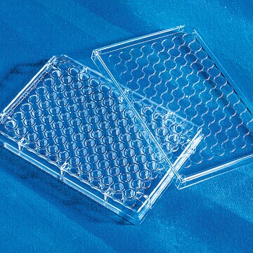 96孔板 TC表面 标准透明板 平底带盖 灭菌|0|Corning/康宁,96孔板 TC表面 标准透明板 平底带盖 灭菌|0|Corning/康宁