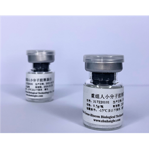 重组人小分子胶原蛋白,Recombinant Human Micro-molecule Collagen (TypeⅢ)