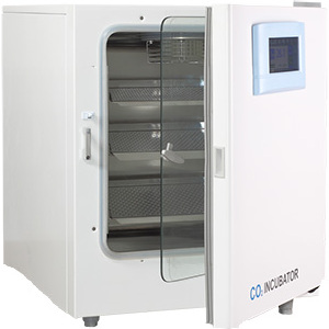 二氧化碳培养箱-触摸屏(红外传感器)  80L RT+5～55℃（仅限科研用途）|BPN-80RHP|一恒