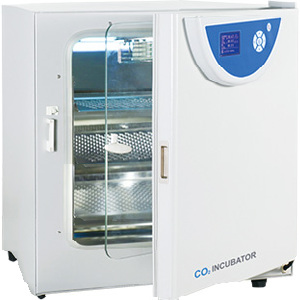 二氧化碳培养箱(红外传感器)  190L RT+5～55℃（仅限科研用途）|BPN-190CRH|一恒
