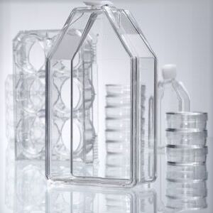 细胞培养瓶, T-75, TC处理, 透气盖, 无菌, 无细胞毒性, 16包x5个|0|Eppendorf/艾本德