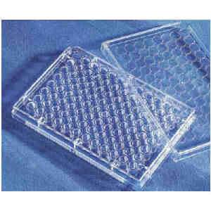 96孔酶标板透明平底高结合PS（聚苯乙烯）材质带盖灭菌袋装|96孔|Corning/康宁