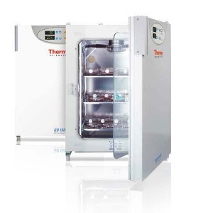 二氧化碳培养箱 150L RT+3～55℃ （仅限科研用途）|BB150|Thermo Fisher/赛默飞世尔