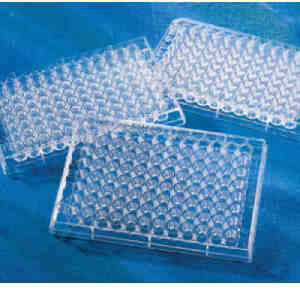 酶标板 96孔 高结合力 不可拆  透明  平底 未灭菌 独立包装|96孔|Corning/康宁