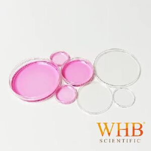 TC处理透明60mm细胞培养皿，易握边，灭菌|60mm|卧宏/WHB