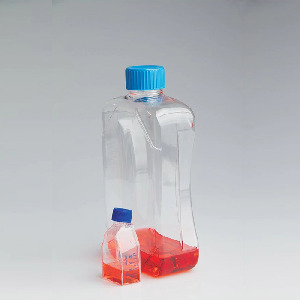 [CCP]Nunc 300 cm?? 细胞培养瓶，过滤盖|Nunc