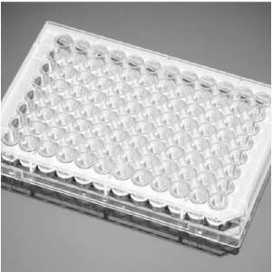 T細(xì)胞活化96孔板T-Cell Activation Control 96 Well Flat Bottom Assay Plate, Individually Wrapped|96孔|Biocoat