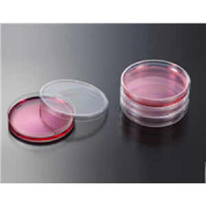 一次性细菌培养皿 15.0cm 143.0cm2,袋装,灭菌|15.0cm|JET/洁特