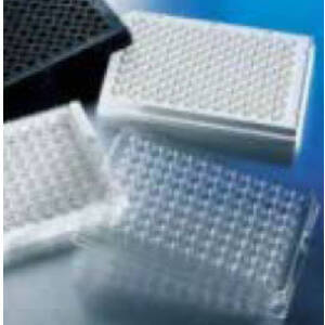 96孔板，DNA结合表面，平底，透明，PS（聚苯乙烯）材质，无盖，1个/包，10包/箱|0|Corning/康宁