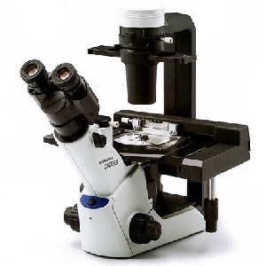 细胞培养专用显微镜|CKX53|Olympus/奥林巴斯