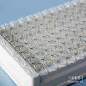 96孔酶标板 透明 平底 不可拆卸 高结合力 聚苯乙烯材质 海狸|96孔|探索精选