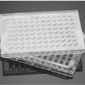 96孔板Matrigel Tumor Invasion FluoroBlok 96 Well Plate, with Lid|96孔|Biocoat